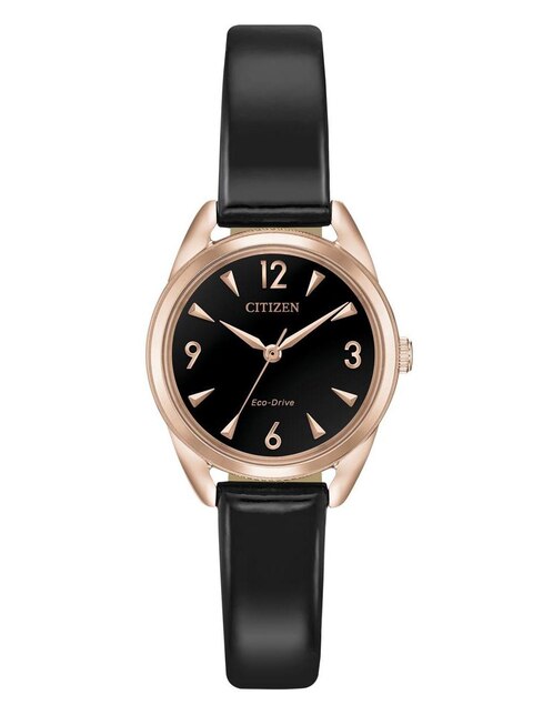 citizen wr20bar