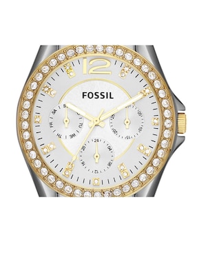 Reloj Fossil Riley para mujer ES3204