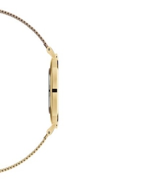 Reloj Daniel Wellington Petite Evergold unisex DW00100345