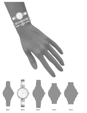 Reloj Anne Klein Silver collection para mujer AK3295SIST