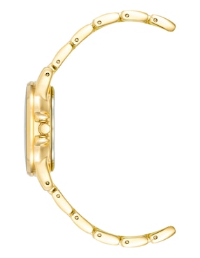 Reloj Anne Klein Gold Collection para mujer AK4132RQGB