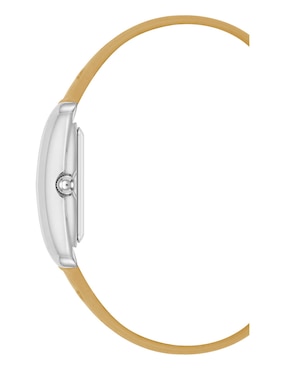 Reloj Anne Klein Color Collection para mujer AK5057SVTN