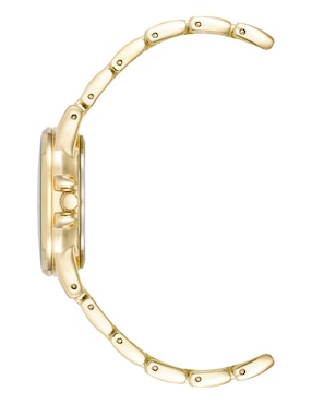 Reloj Anne Klein Gold Collection para mujer AK4132RAGB