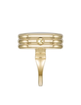 Reloj Anne Klein Gold Collection para mujer AK5126RINGGD