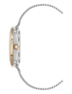 Reloj Anne Klein Silver Collection para mujer AK5163SVTT
