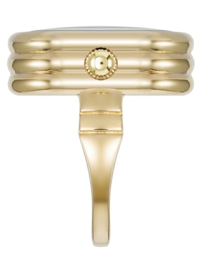 Reloj Anne Klein Gold Collection para mujer AK5126RINGBK
