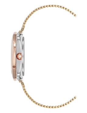 Reloj Anne Klein Gold Collection para mujer AK5163SVTR