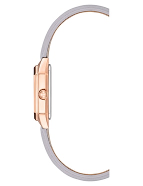 Reloj Anne Klein Color Collection para mujer AK3968LVRG