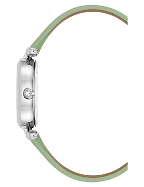 Reloj Anne Klein Color Collection para mujer AK5155SVGN