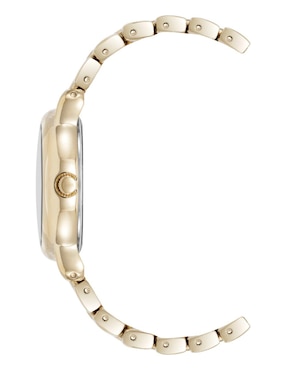 Reloj Anne Klein para mujer AK5234CHGB