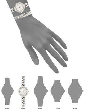 Reloj Anne Klein Silver Collection para mujer AK5231TTST