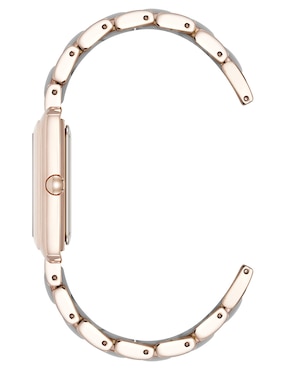Reloj Anne Klein Color Collection para mujer AK5278RGGY