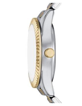Kit de reloj Folio para mujer FMDFL2081