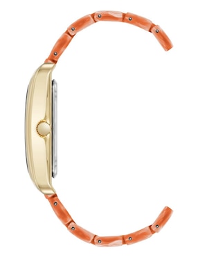 Reloj Anne Klein Color Collection para mujer AK5290GPPE