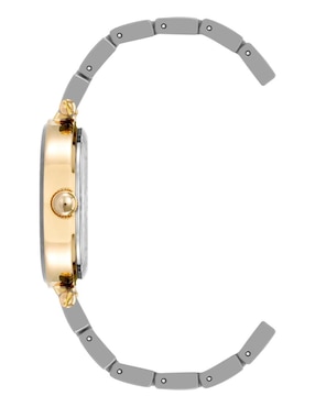 Reloj Anne Klein Color Collection para mujer AK1018GPTN