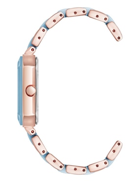 Reloj Anne Klein Color Collection para mujer AK5260AQRG
