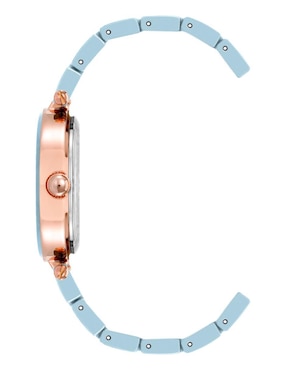 Reloj Anne Klein Color Collection para mujer AK1018RGAQ