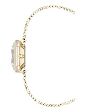 Reloj Anne Klein para mujer AK5376PVGB
