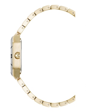 Reloj Anne Klein Two Tone para mujer AK5039CHTT