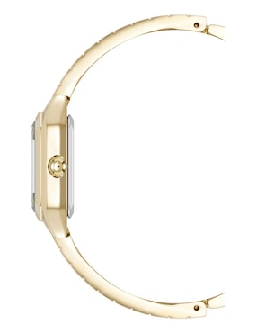 Reloj Anne Klein Gold Collection para mujer AK5356PVGB
