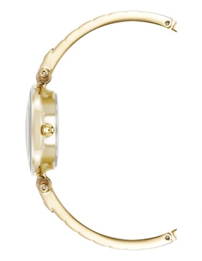 Reloj Anne Klein Gold Collection para mujer AK5390CHGB