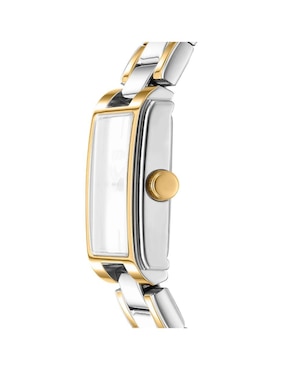 Reloj DKNY C Everyday para mujer DK1L121M0085