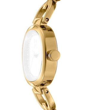 Reloj Dkny C Everyday para mujer DK1L139M0035