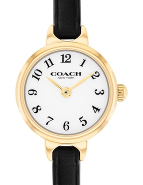 Reloj Coach Iris para mujer 14504654