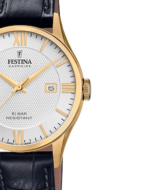 Reloj Festina Classic Leather para hombre F20010/2