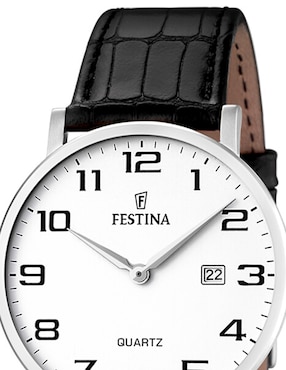 Reloj Festina Correa Clasico para hombre F16476/1