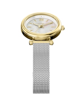 Reloj Fossil Carlie para mujer Es5463