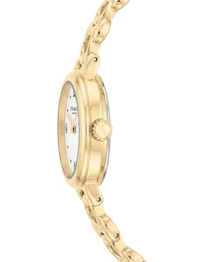 Reloj Coach Iris para mujer 14504650