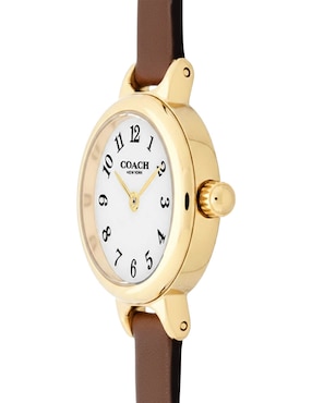 Reloj Coach Iris para mujer 14504656