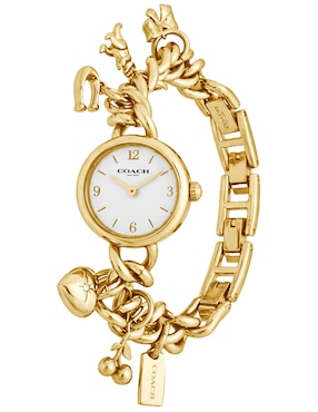 Reloj Coach Iris para mujer 14504648