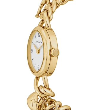 Reloj Coach Iris para mujer 14504648