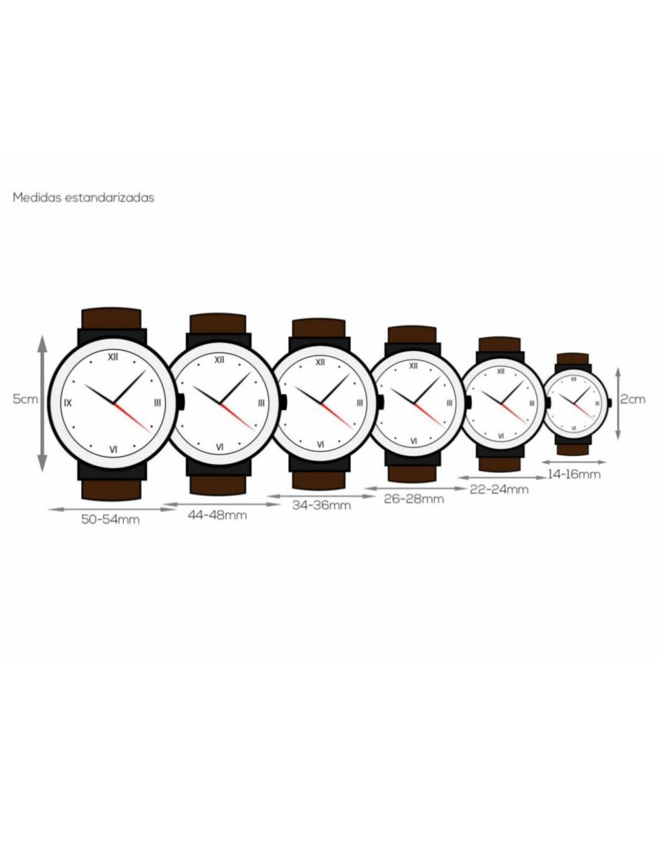Reloj Hampton para hombre AX2132 2