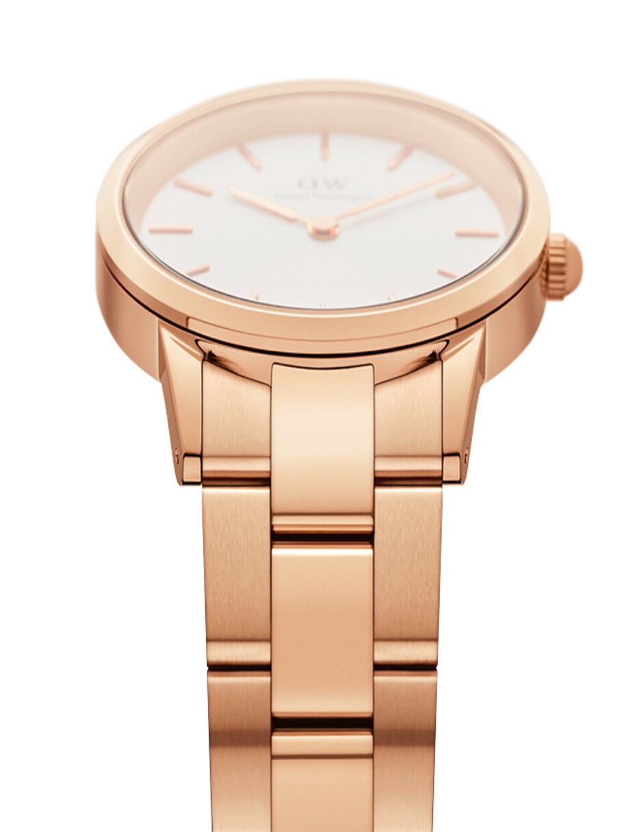 Reloj Iconic Link unisex DW00100209 2