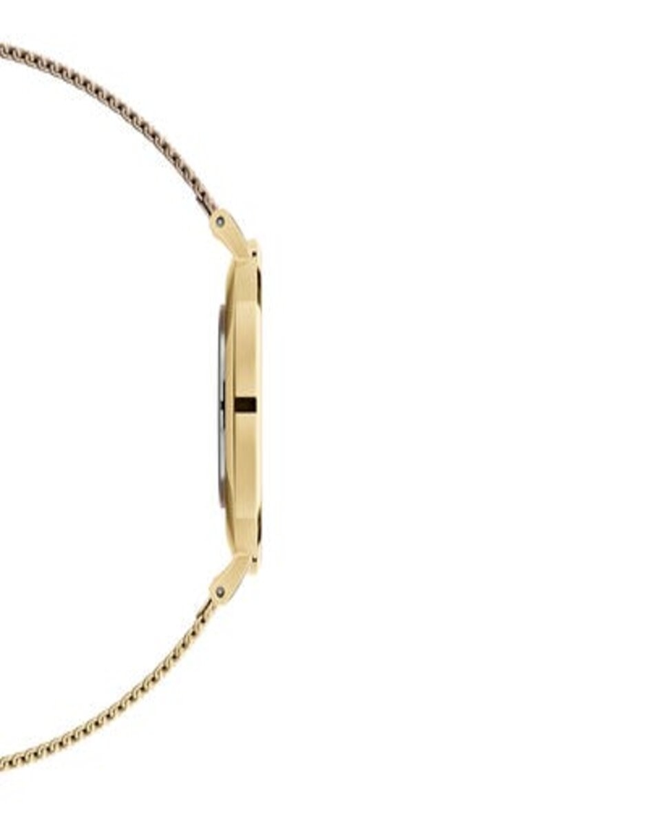 Reloj Petite Evergold unisex DW00100345 2