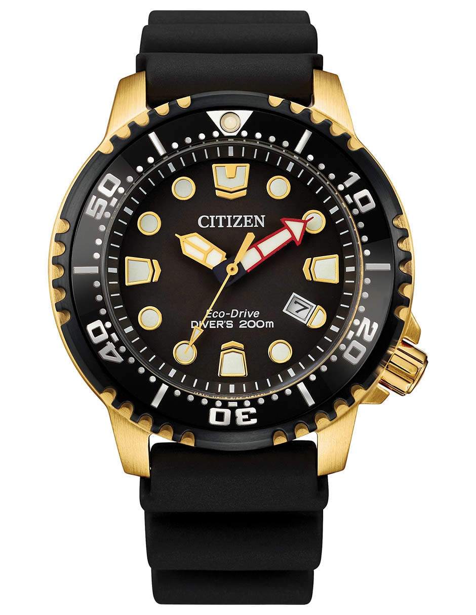 Reloj Promaster Dive para hombre 61453