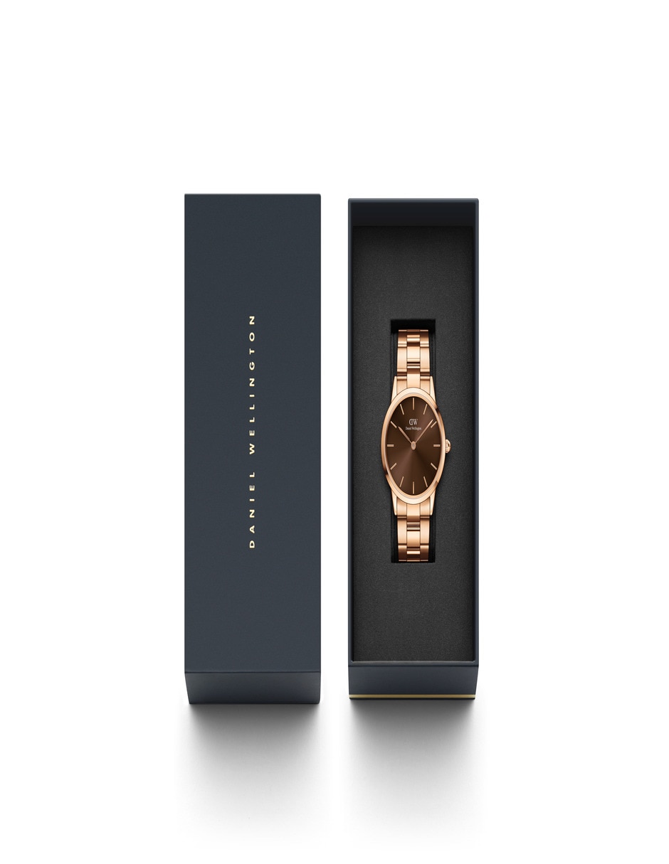 Reloj Iconic Link Amber unisex DW00100461