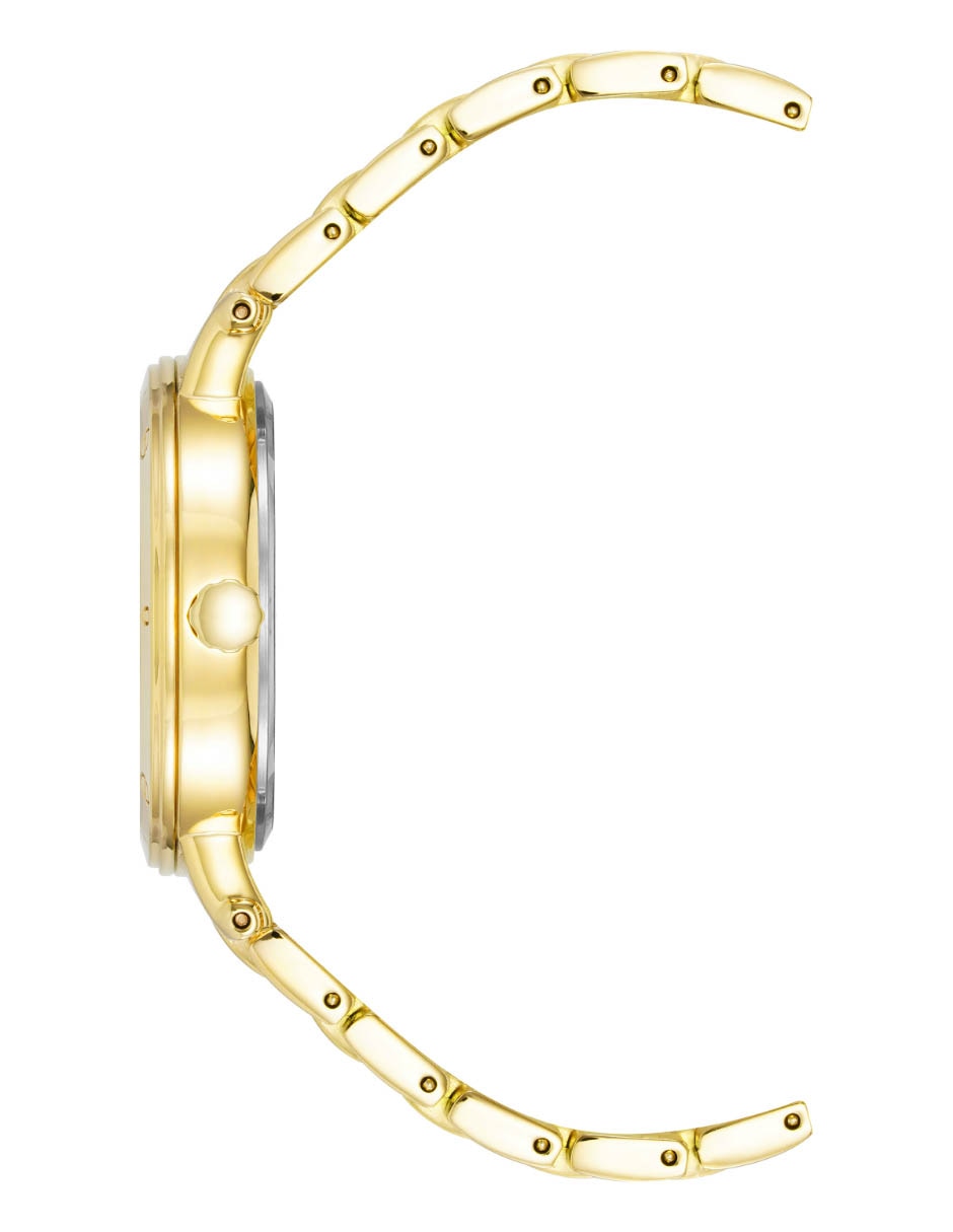 Reloj Gold Collection para mujer AK4012WTGB 2
