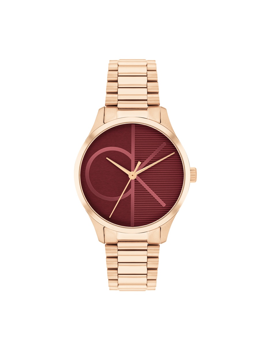 Reloj Iconic unisex 25200347