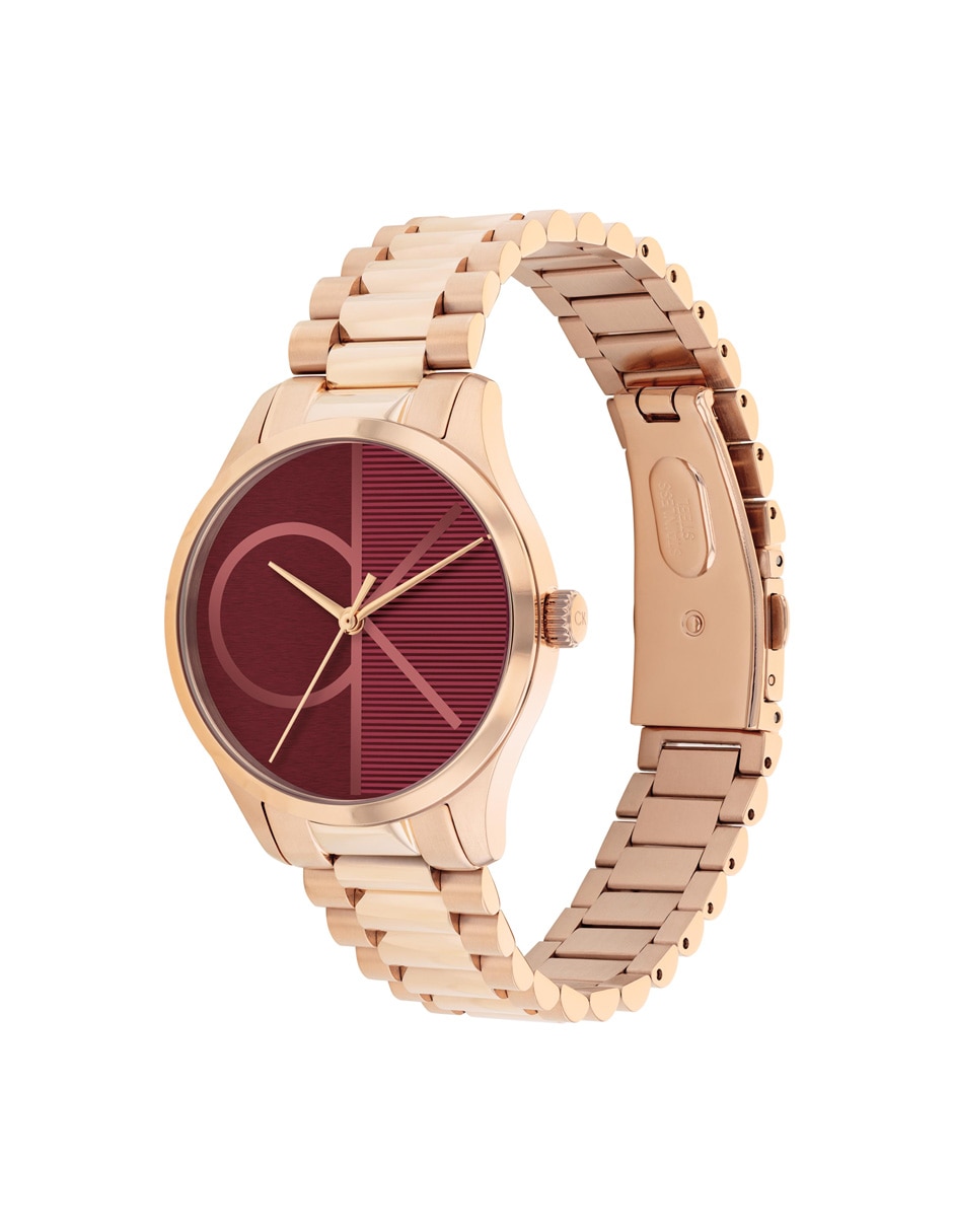 Reloj Iconic unisex 25200347 3