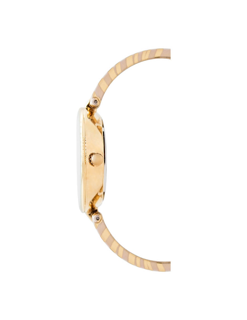 Reloj Two Tone Collection para mujer AK3532EZTW 3