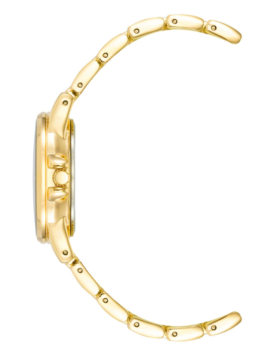 Reloj Gold Collection para mujer AK4132RQGB 3