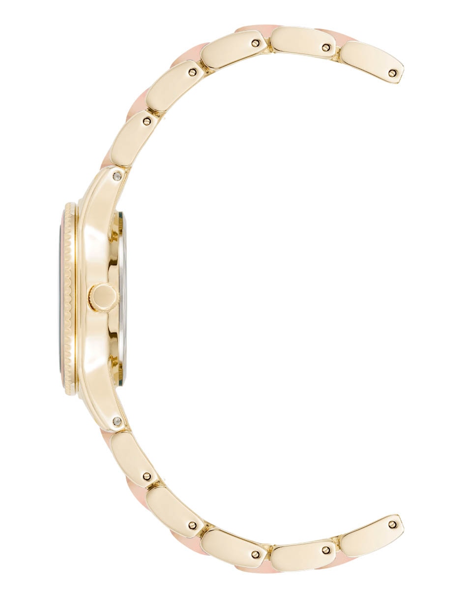 Reloj BLUSH COLLECTION para mujer AK3212IRGB 3