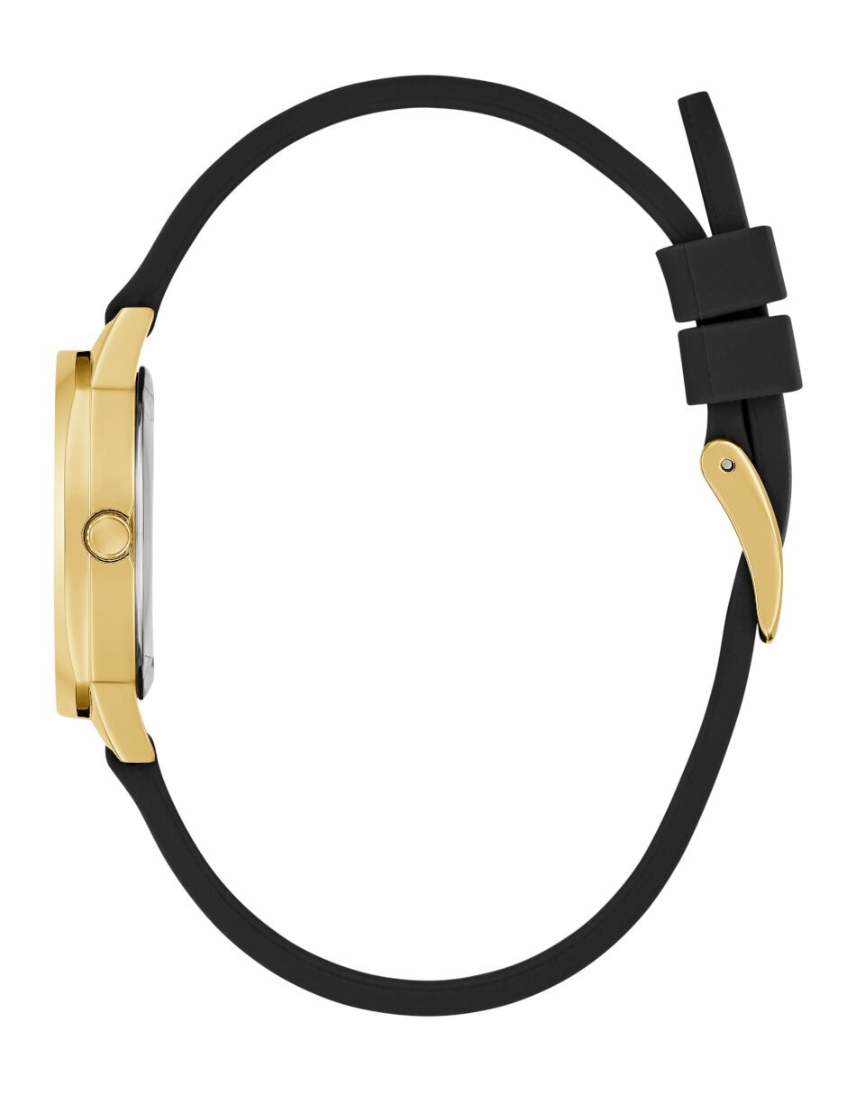 Reloj Charlotte para mujer GW0820L1 2