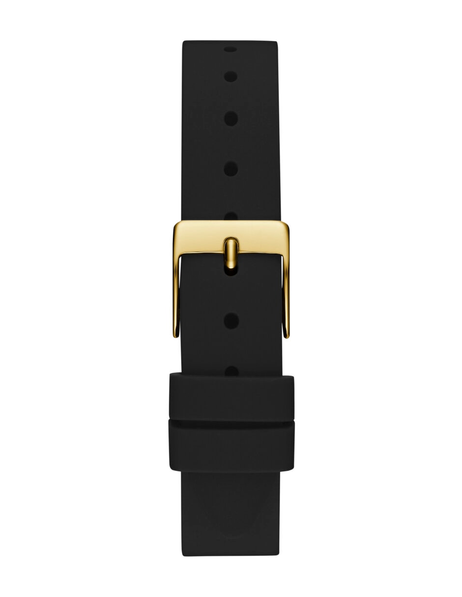 Reloj Charlotte para mujer GW0820L1 3