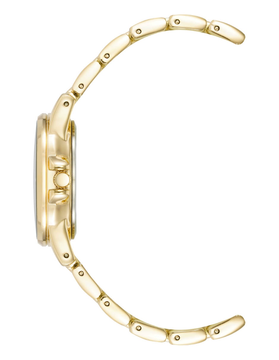 Reloj Gold Collection para mujer AK4132RAGB 3