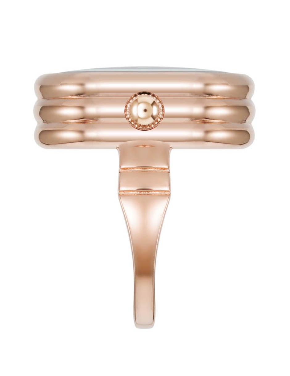 Reloj Rose Gold Collection para mujer AK5126RINGBL 4